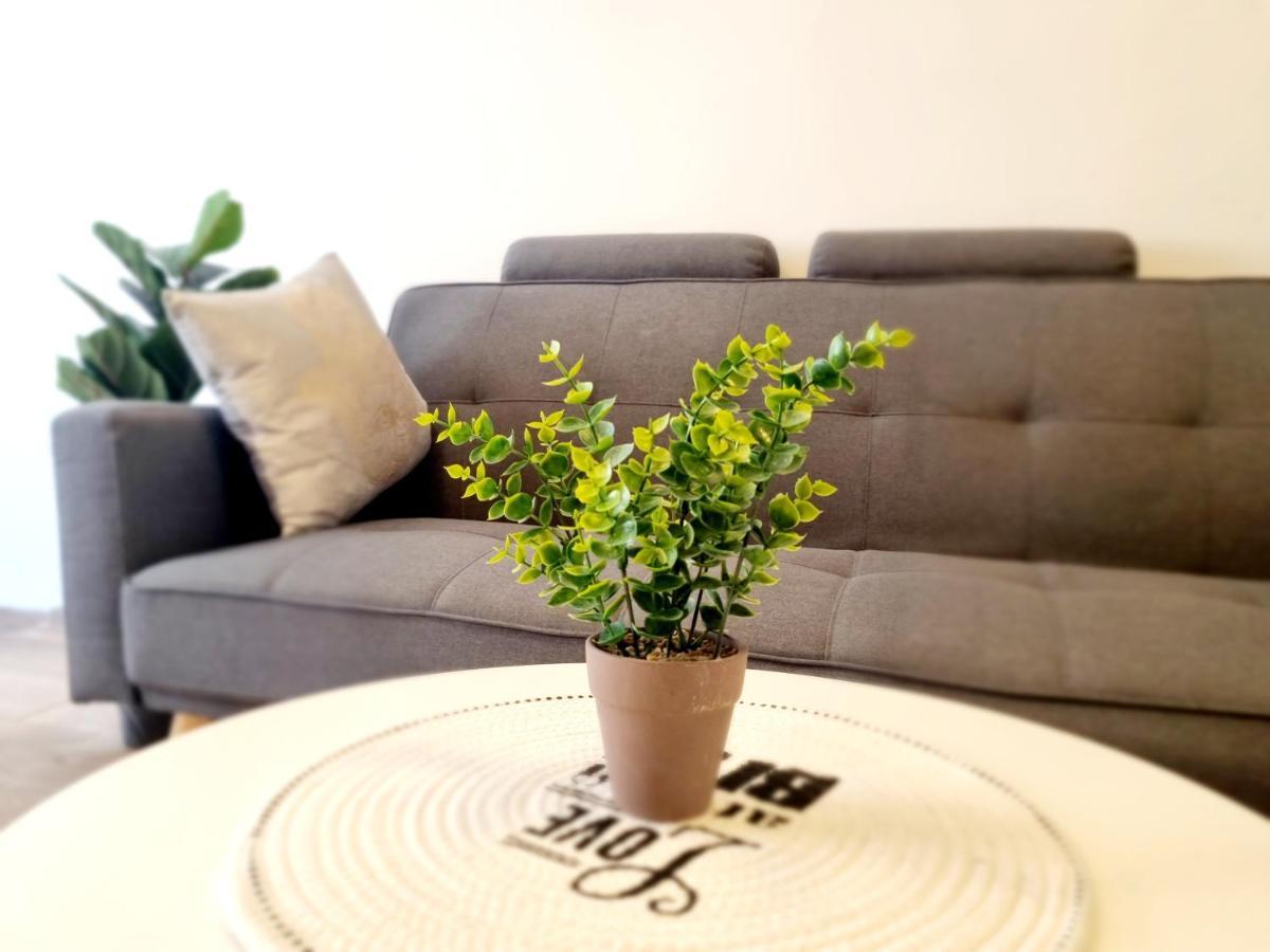 "In The Heart Of Acre" From Shneider Apartments 外观 照片